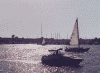 labeach.gif (3482 ???)